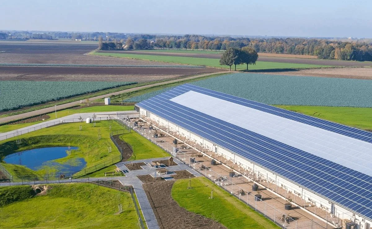 Aerial view of a solar-roofed egg farm with a pond and orchard